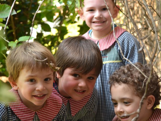 Programa de actividades y juegos dirigidos