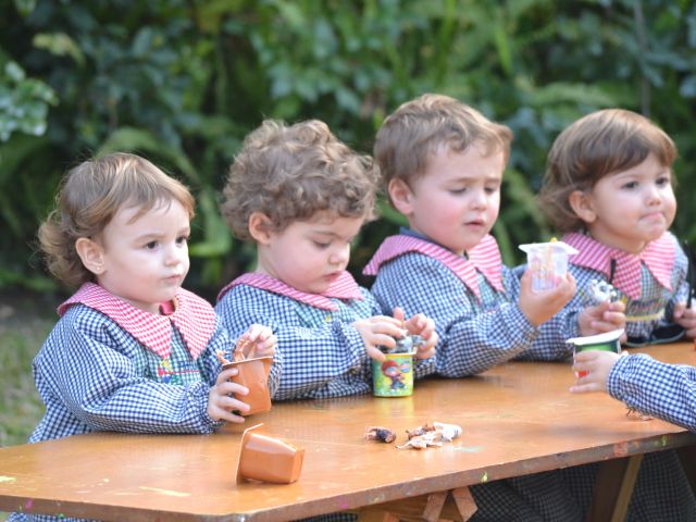 Programa de Adquisición de nuevos conceptos